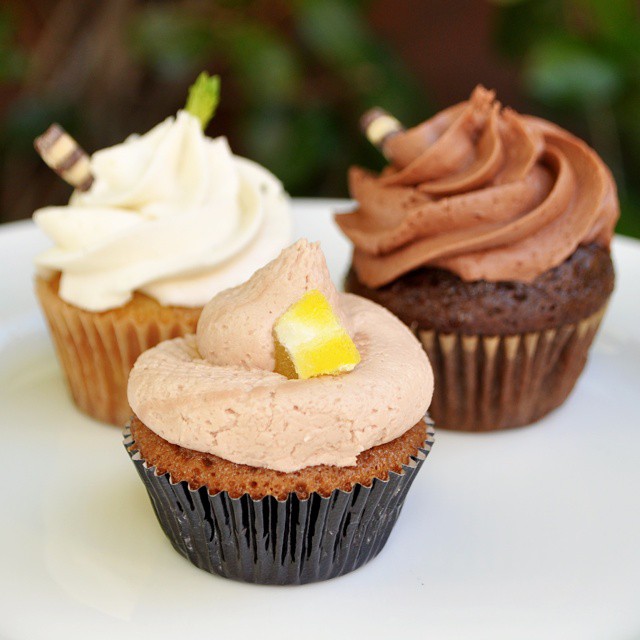 two chocolate cupcakes, with vanilla er frosting on the top