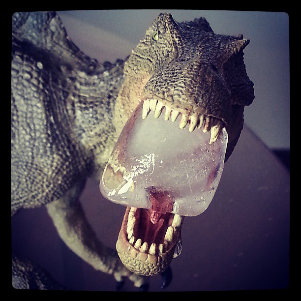 a dinosaur displays his teeth, sharp teeth and gumy mouth