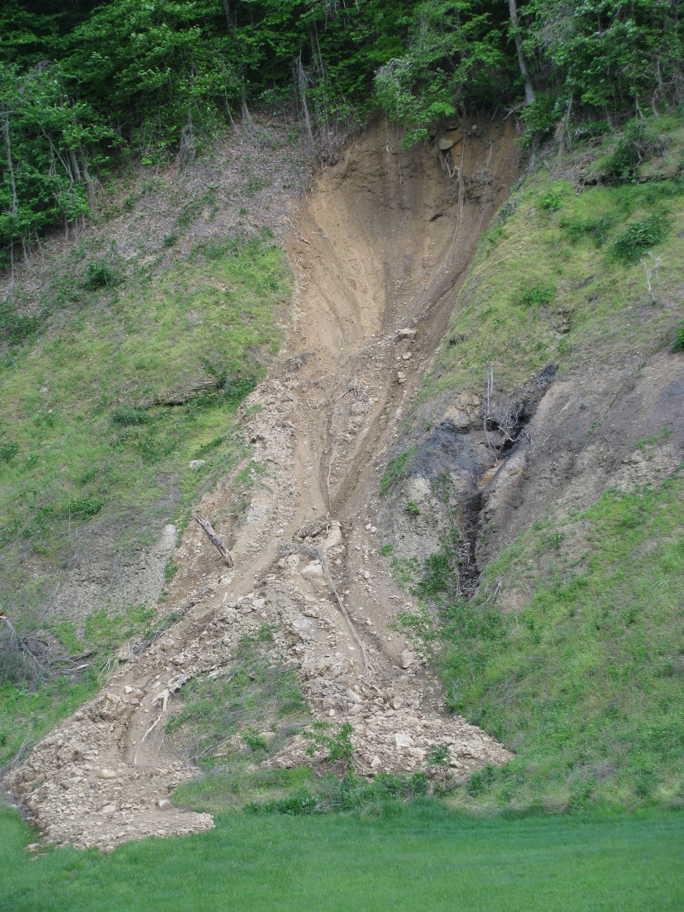 a large amount of dirt and trees in a green field