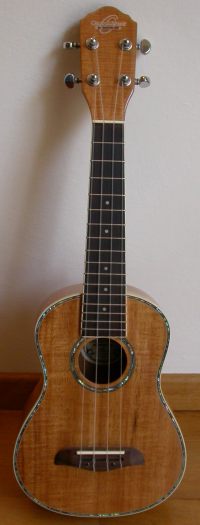 a small guitar made out of a wood string