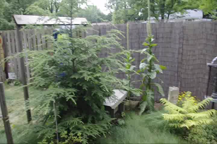 a green area with small plants and several wooden posts