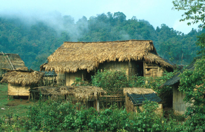 huts are set out in a forested area