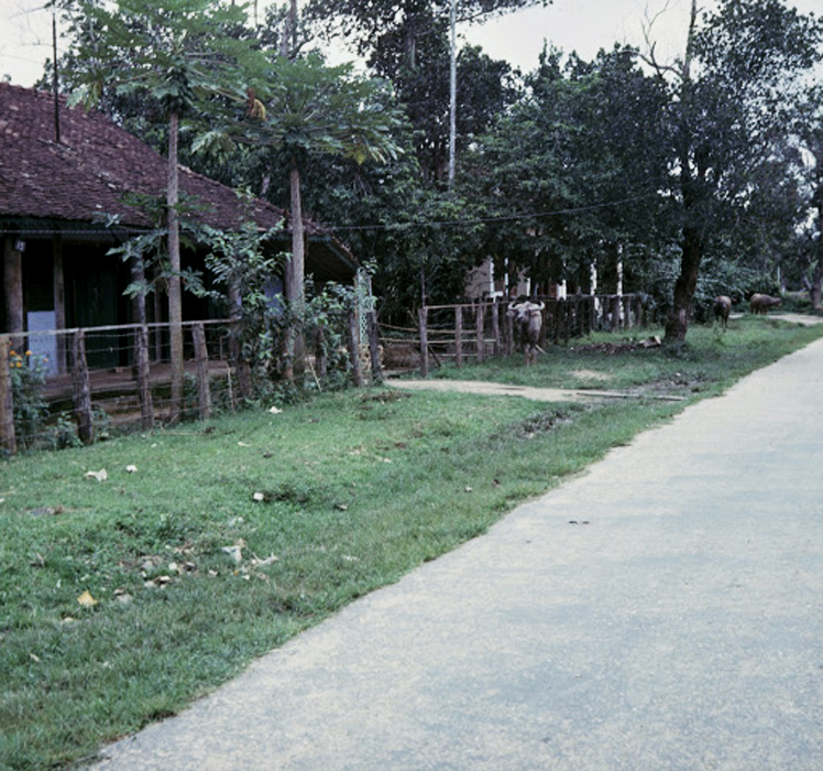 the back yard of a farm house has fencing around it