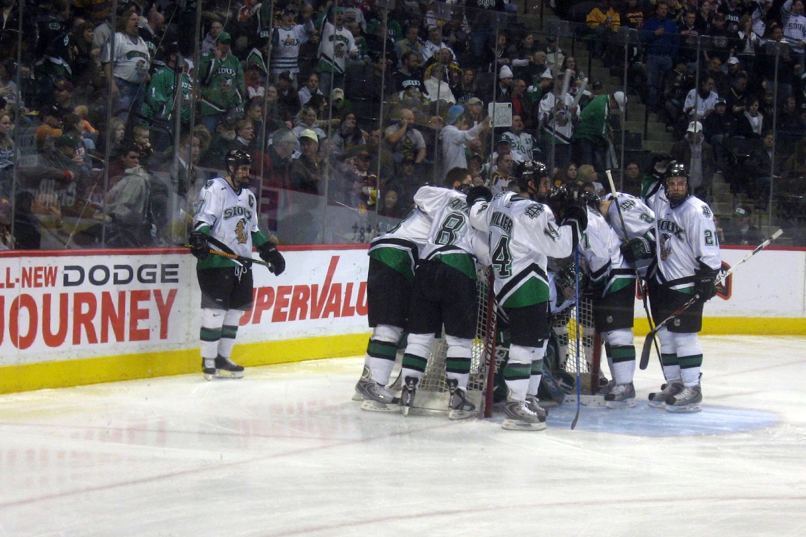 a group of hockey players on the ice with an audience behind them