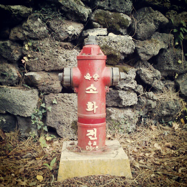 a red and gray fire hydrant on top of a rock