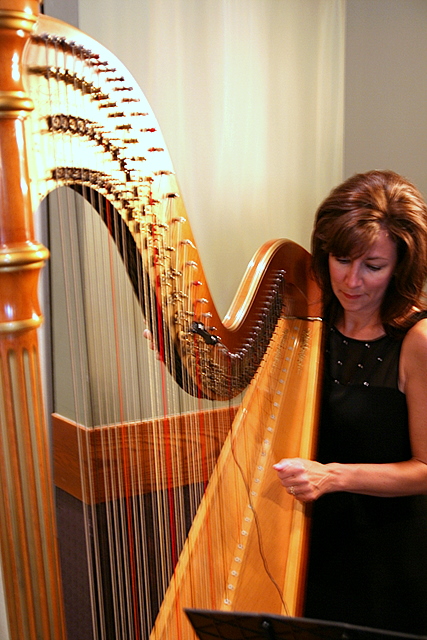a lady in black and brown holding a harp