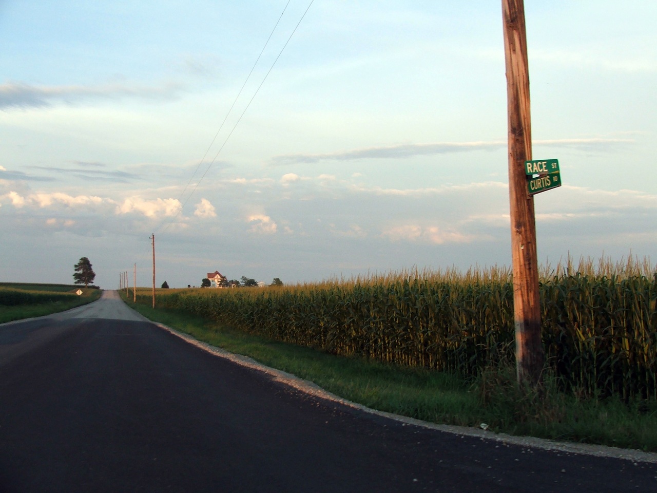 a street sign next to a corn field with a sky background