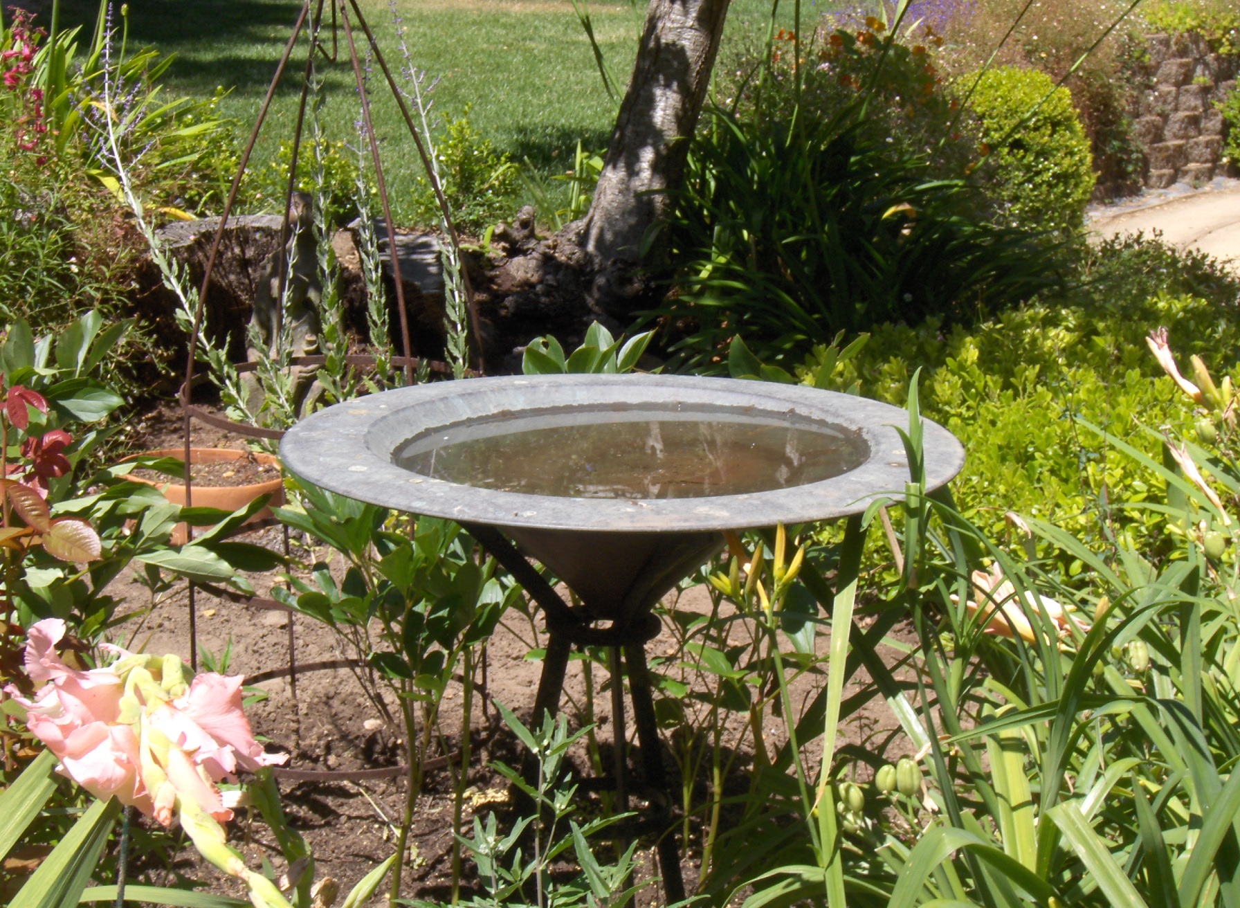 bird bath with plants and pink flowers around it