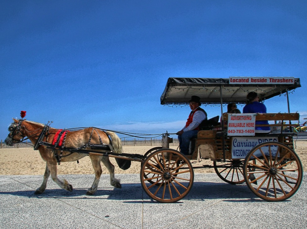 a horse with a wagon that is loaded with people