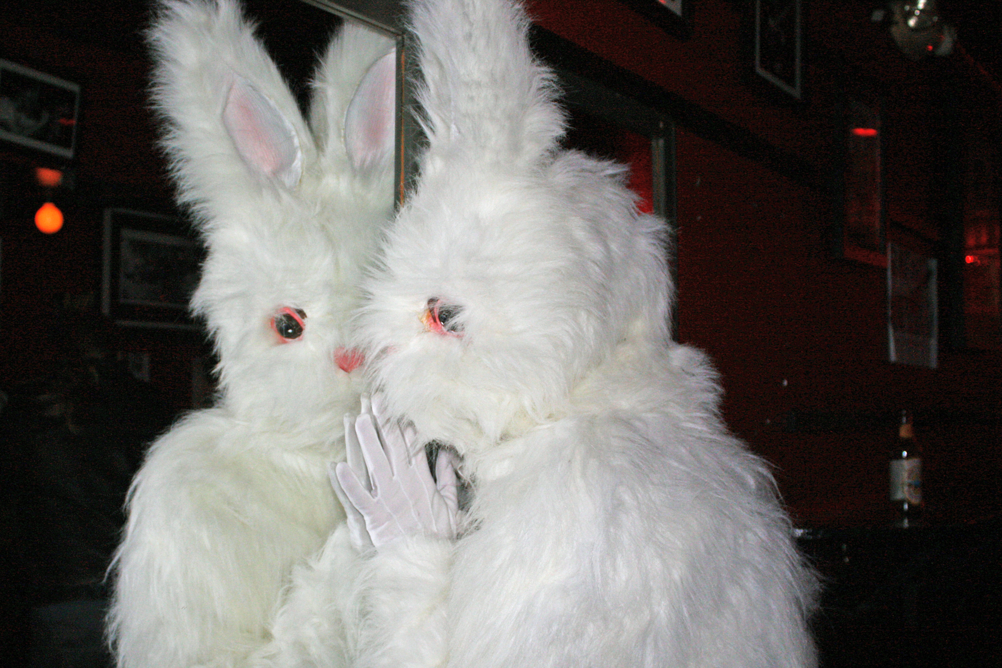 two white bunny costumes hugging each other with eyes wide open