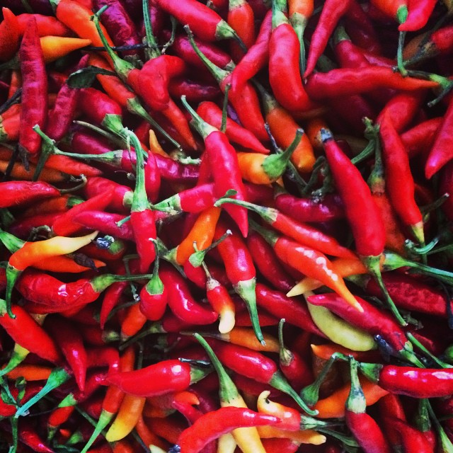 a pile of red and yellow chili peppers