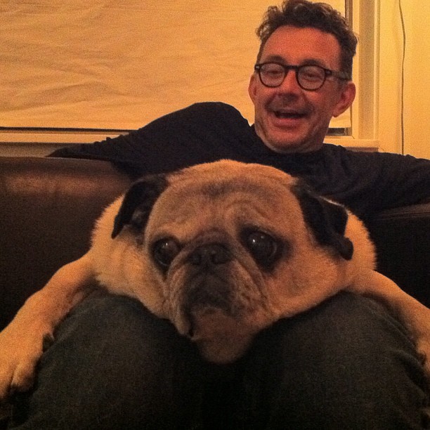 a man on a couch holding a brown and black dog