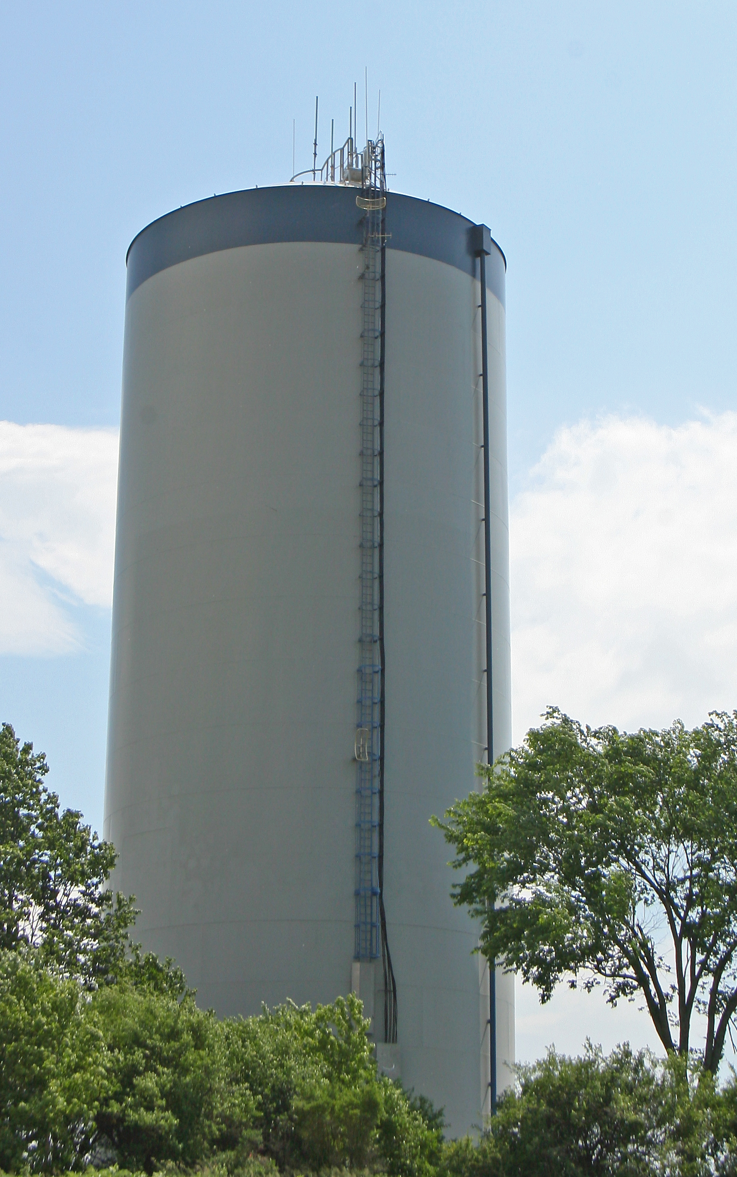 a big tall tower sitting in the middle of a forest