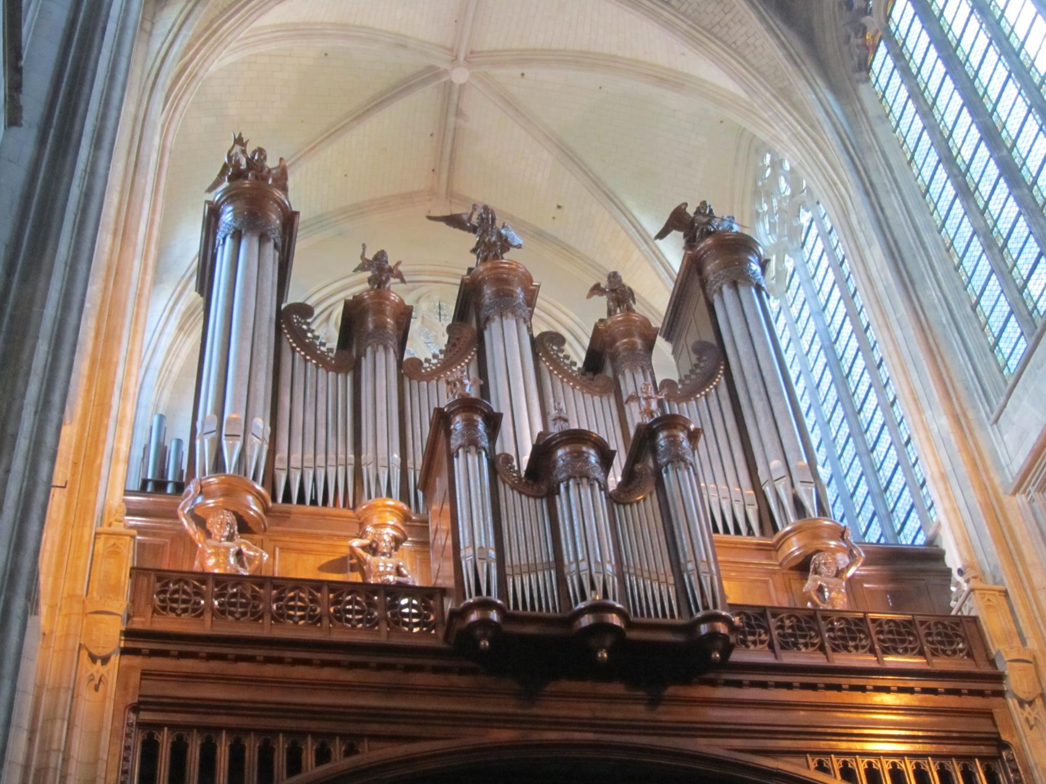 a pipe organ is shown in the ceiling