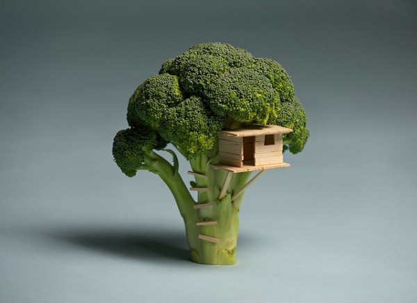broccoli with a house in it placed on top of a tree nch