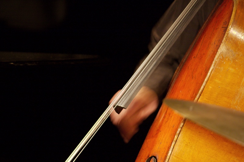 a closeup of a person playing a cello