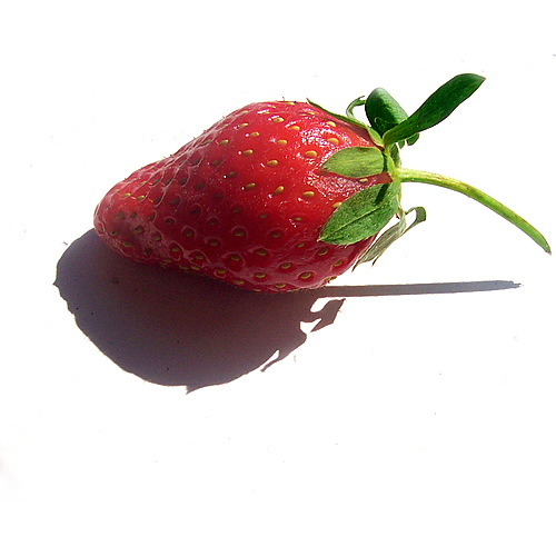 a strawberries on the white background has a long shadow