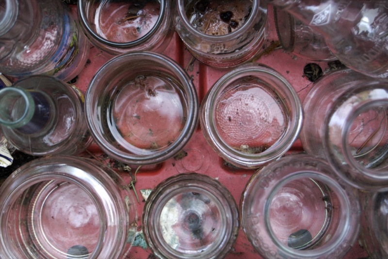 a close up view of a row of mason jars with their lids down