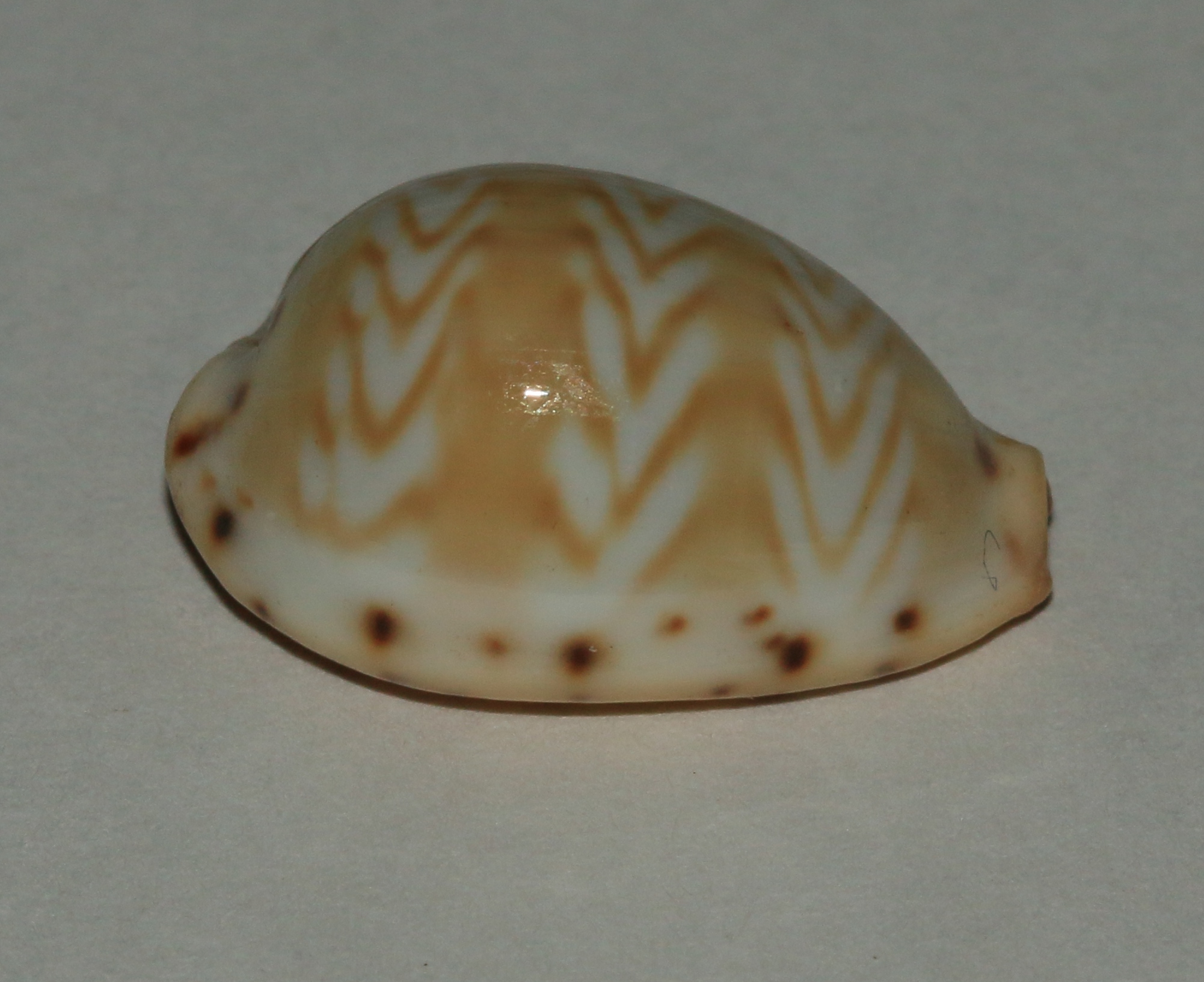 a white, beige, and black piece of pottery on a table