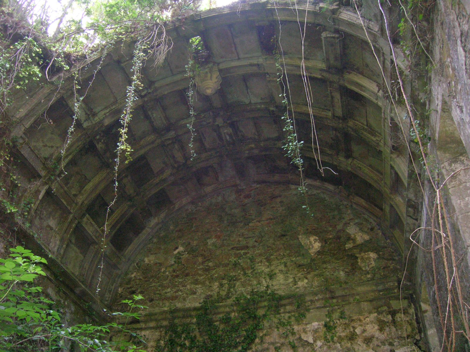 the inside of an abandoned building in the jungle