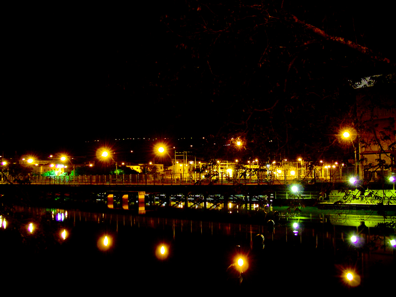 lights on buildings and trees in the dark