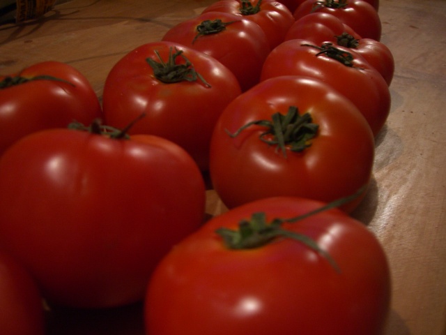 a group of tomatoes lying on the ground