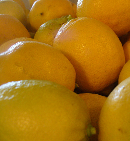 a white container filled with lemons in front of a wall