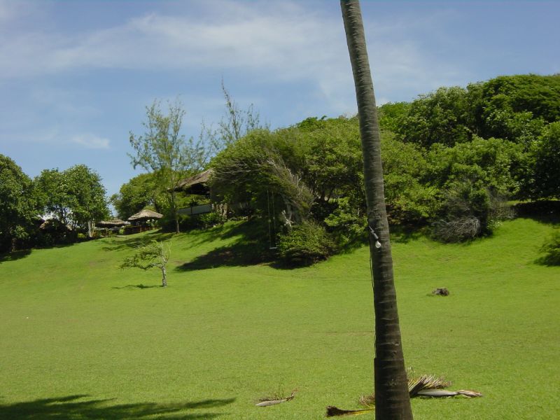 a large green field with palm trees and buildings in the background