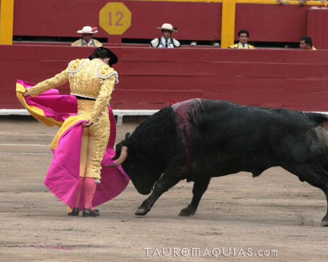 a person is trying to get on a bull