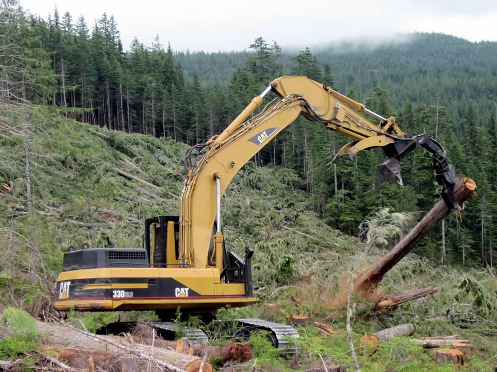 a construction machinery moving logs near the woods