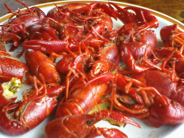 plate of cooked red lobsters with a wooden table in the background