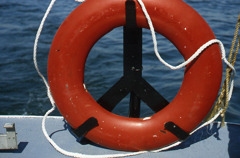 the view from behind of a life preserver and the ocean