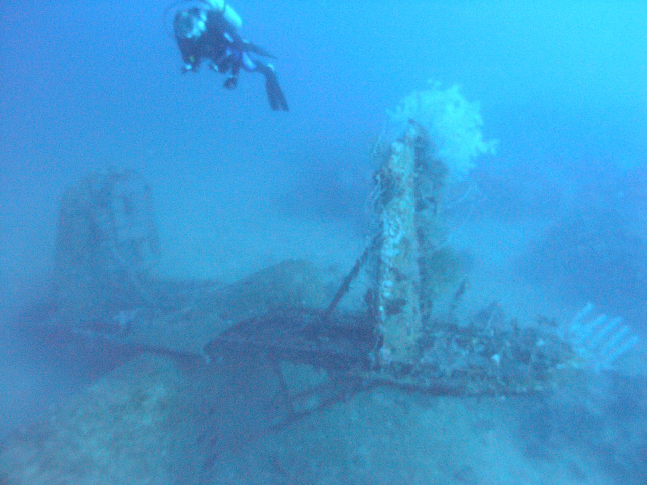 the diver is floating over the damaged wreck of a ship