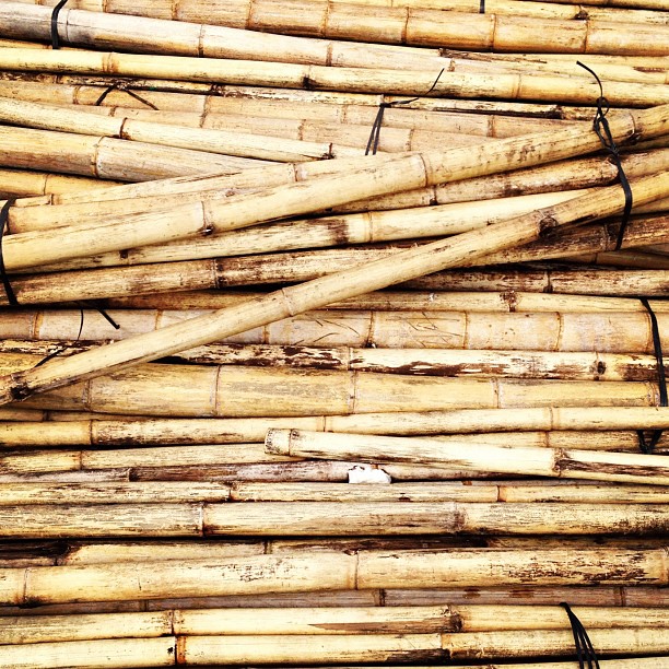 an image of bamboo bundles stacked together