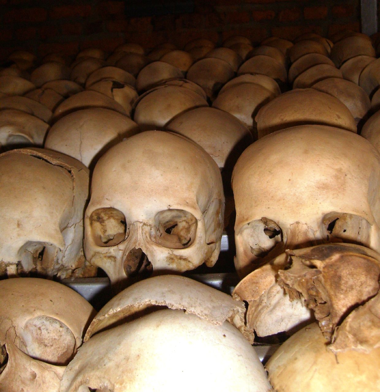 a pile of human skulls sitting on top of each other