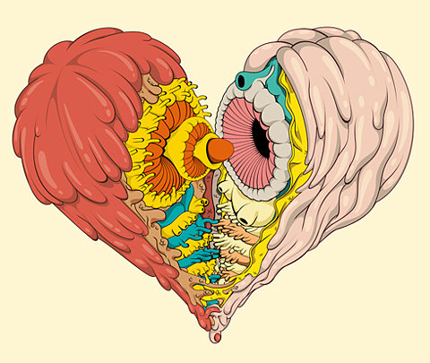 an illustration of two human anatomy parts heart