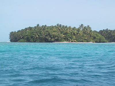 a small island sitting between two palm trees in the water