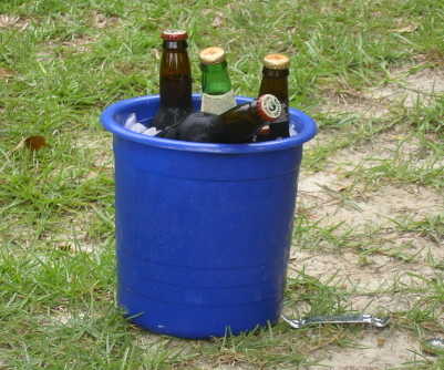 there is some bottles in a bucket