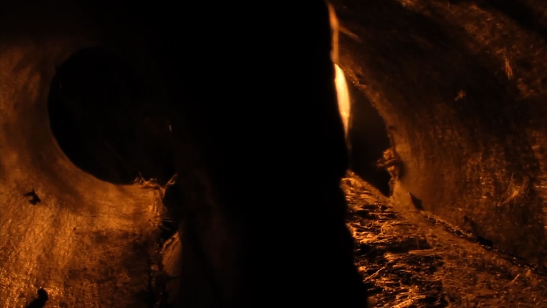 inside a tunnel, a dark person stands in front