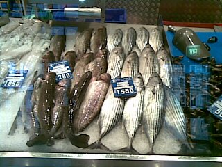 some fish and a person standing next to each other