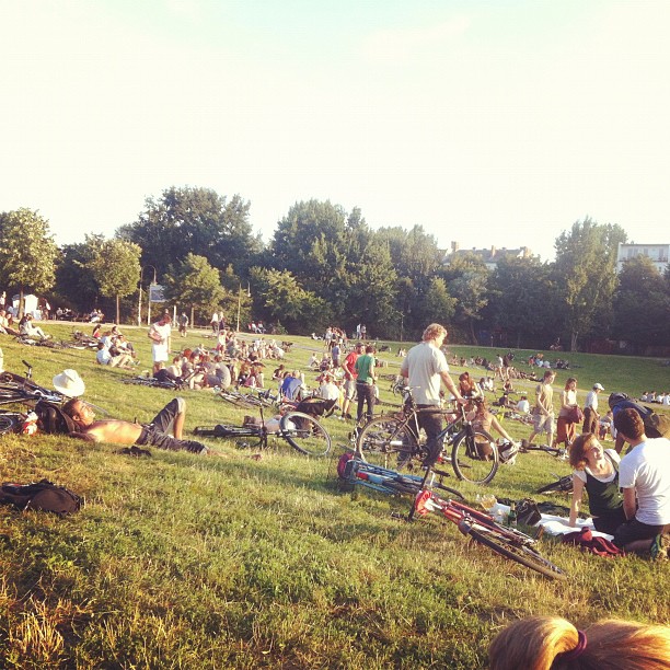 people relaxing in the grass and some resting on the ground