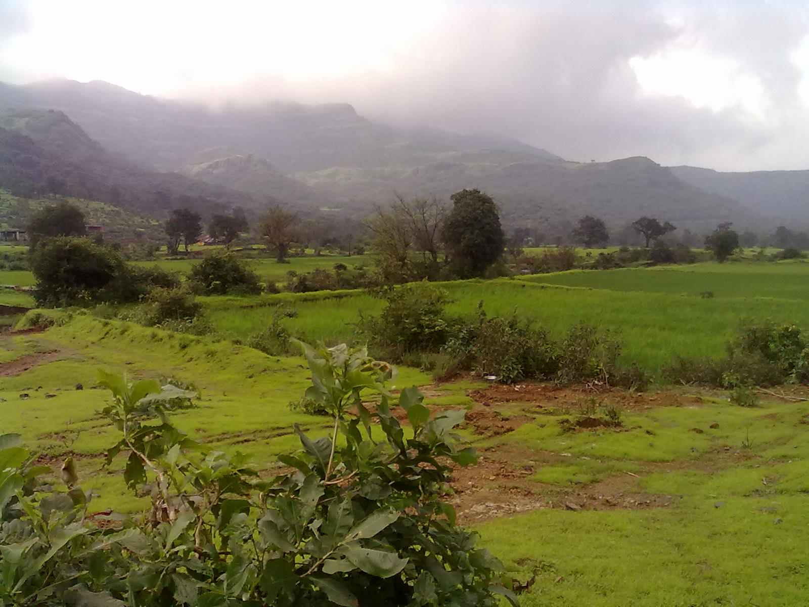 a lush green pasture with mountains and hills in the distance