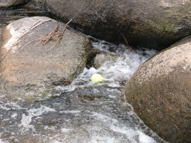 a tennis ball is floating in the water between rocks