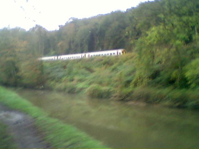 a train with three cars traveling past trees and water