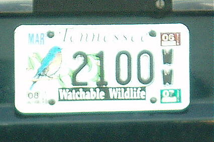 a license plate with the name wild bird