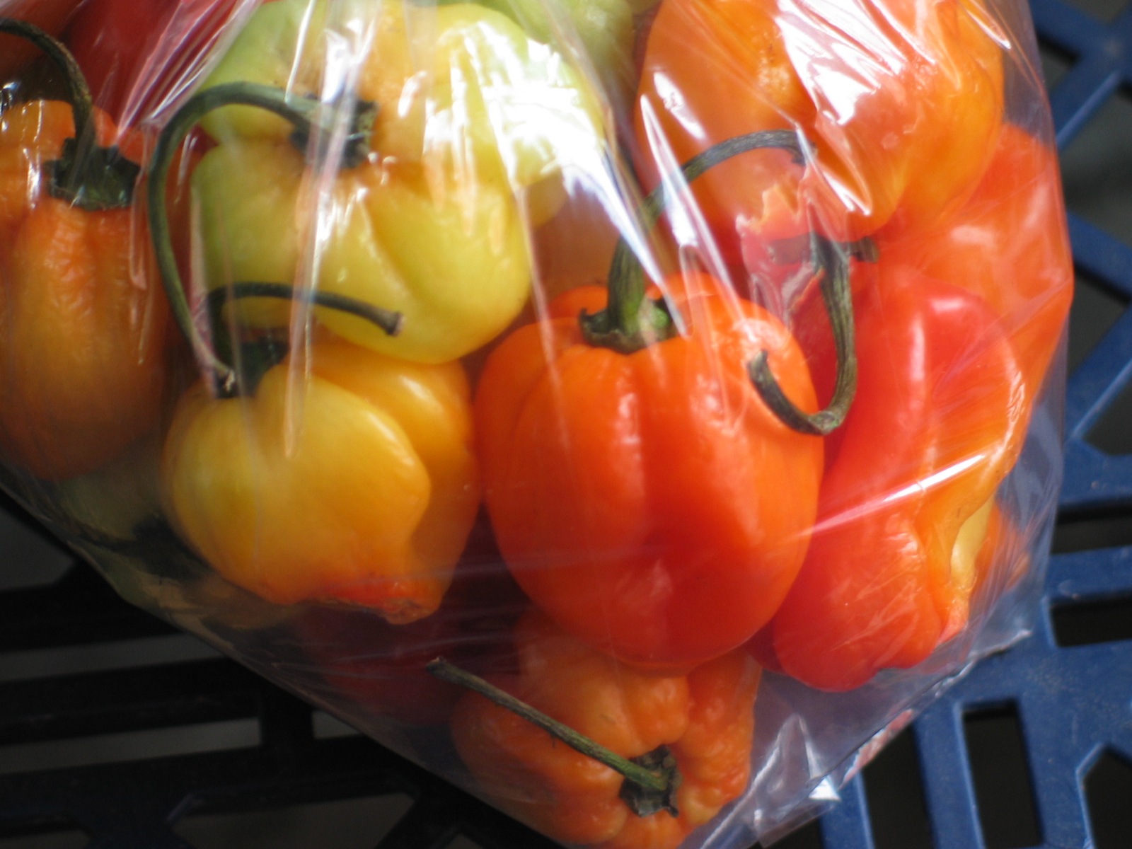 a bunch of bell peppers wrapped in plastic