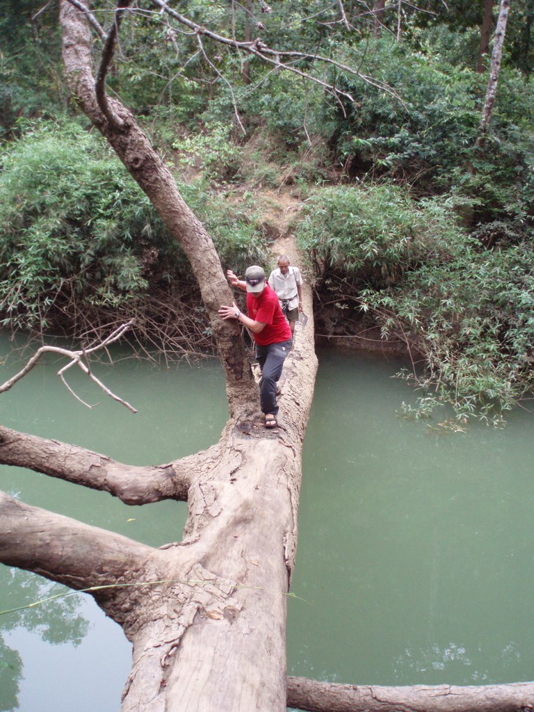 two people walk on a log over a river