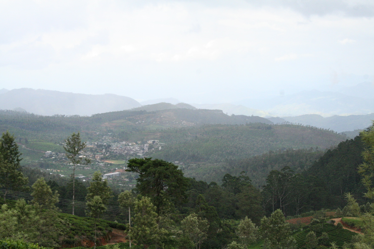 a view of a town in the distance with lots of trees around