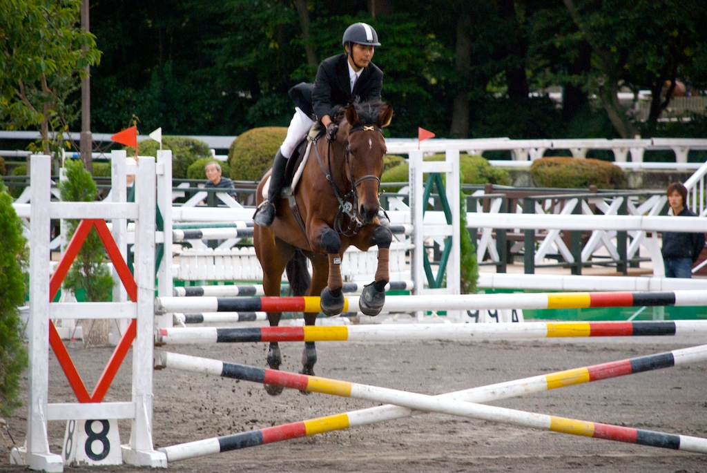 a person that is jumping their horse over a obstacle