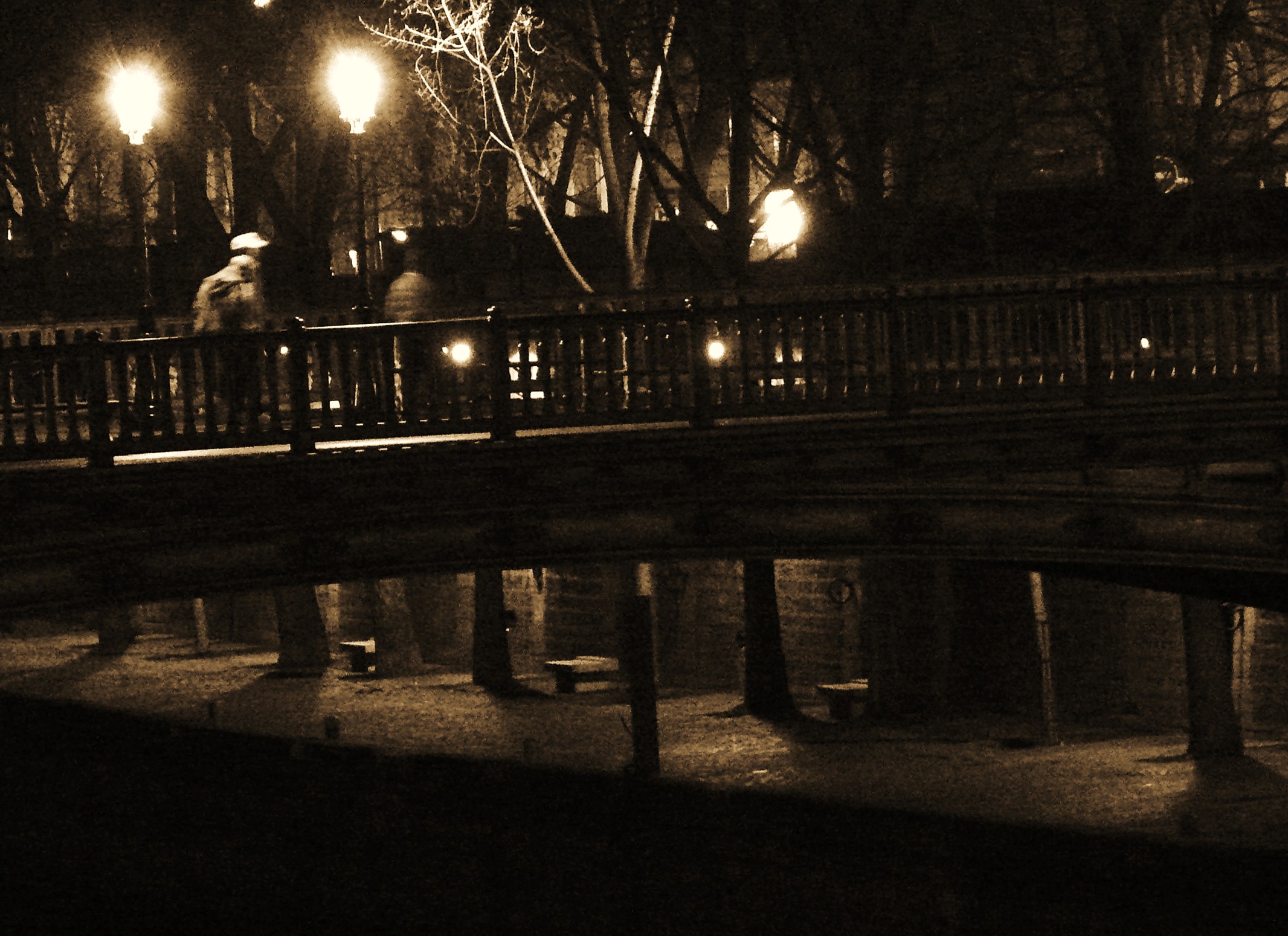 people stand on a bridge that goes through a dark park